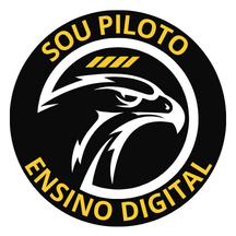 Sou Piloto
